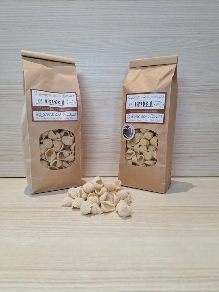 Coquillages de la Baroche